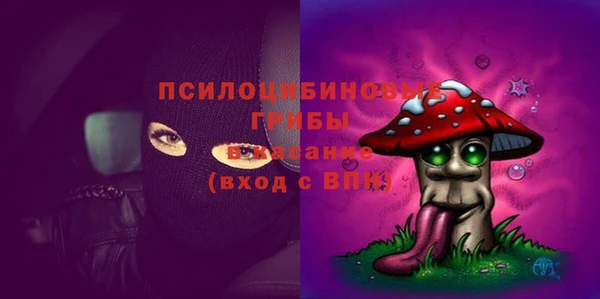соль ск Алексин