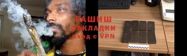 индика Алзамай