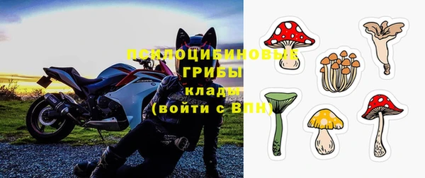 молекула духа Алексеевка