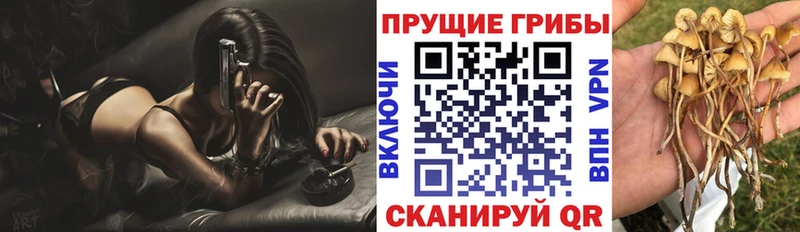 Галлюциногенные грибы Magic Shrooms  купить наркотик  Старая Купавна 